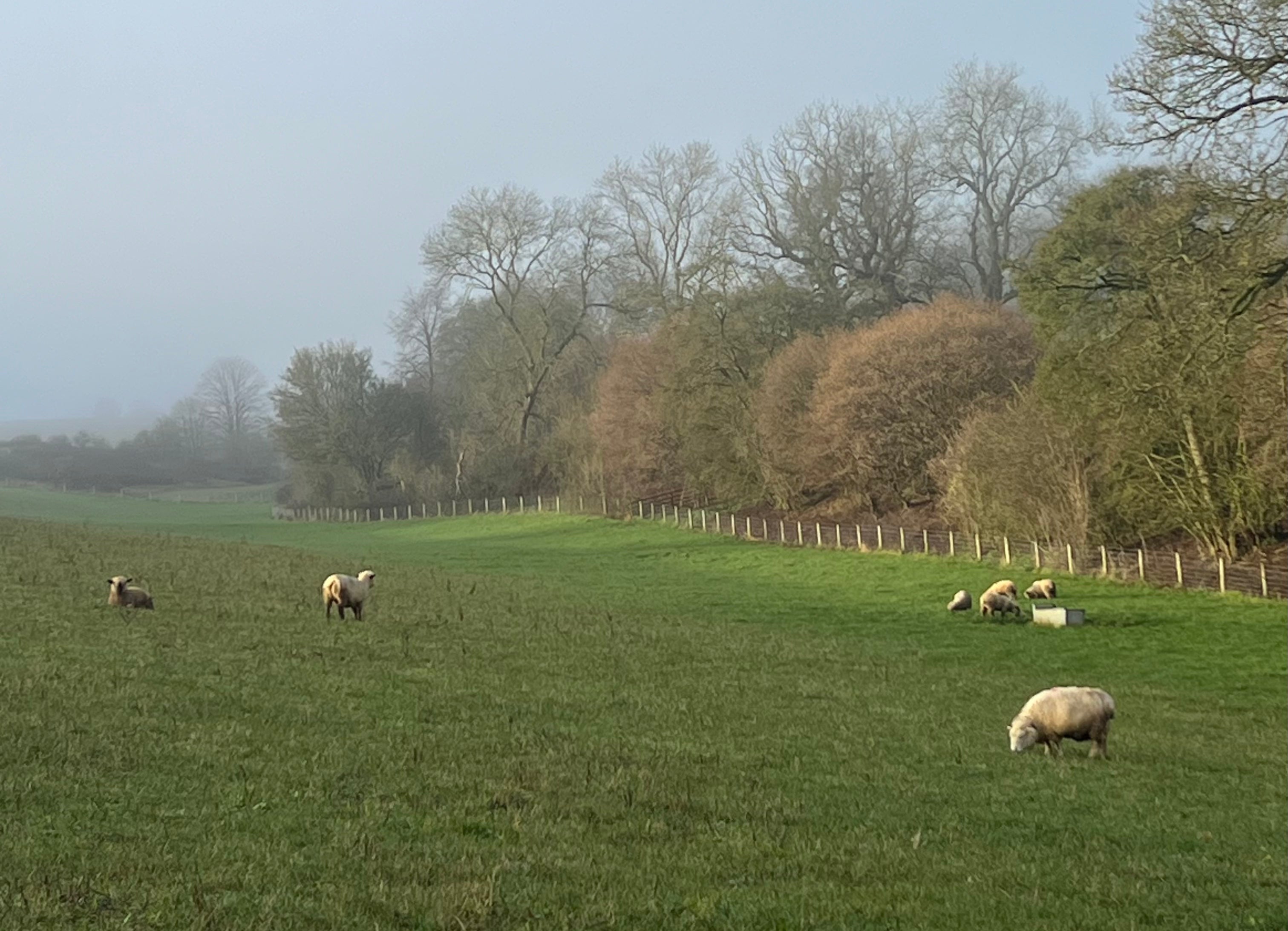Design Inspiration in the Cotswolds